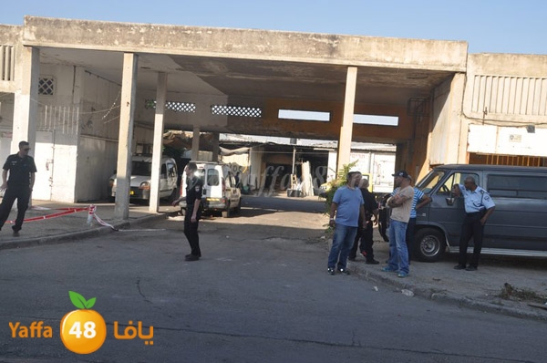 ta3n ludj31 (21).JPG